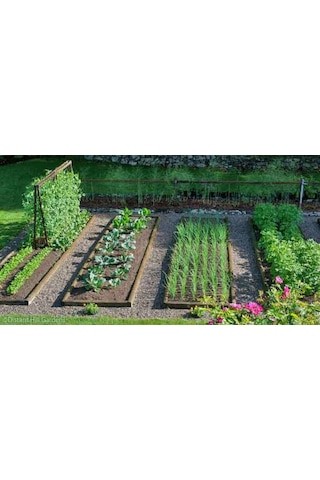 Full Mol 2.4 ( Humik Fulvik Asit ) 5 KG Sıvı Organik Gübre