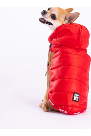 Pawstar Kırmızı Railway Anorak Yelek Köpek Yeleği