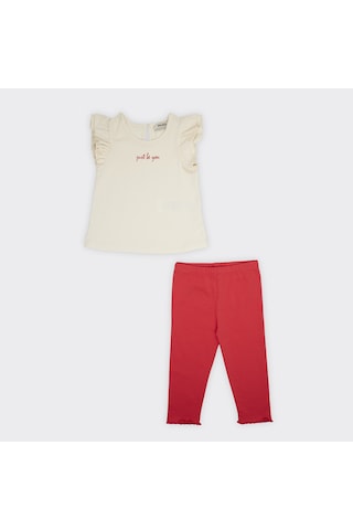 Kız Çocuk Baskı Detaylı T-shirtlü Taytlı Takım 2411gb17014-4393 001