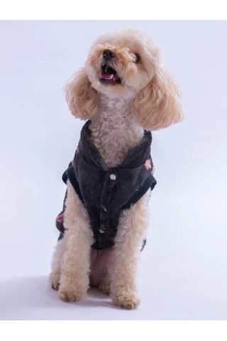 Pawstar Camden Nights Küçük Irk Köpek Peluş Yelek