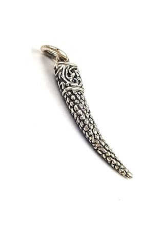 Tasarım Gümüş Diş Kolye Ucu (452206972)