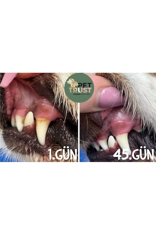 Pettrust Herbal Pet Care Kedi Köpekler İçin Organik Ağız Bakım 40 ML