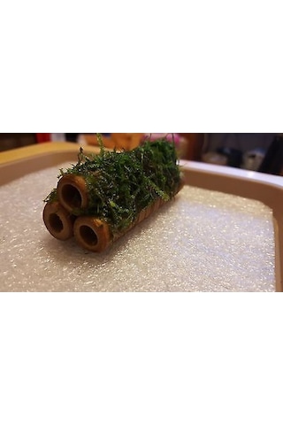 Moss Kamışa Tutturulmuş Karides Yuvası Ve Üretim Kamışı