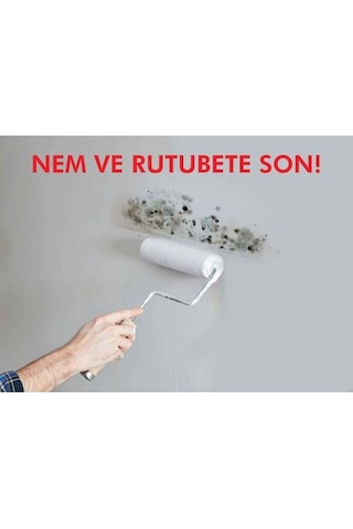 Notonem Rutubet ve Küf Önleyici Boya 1 kg