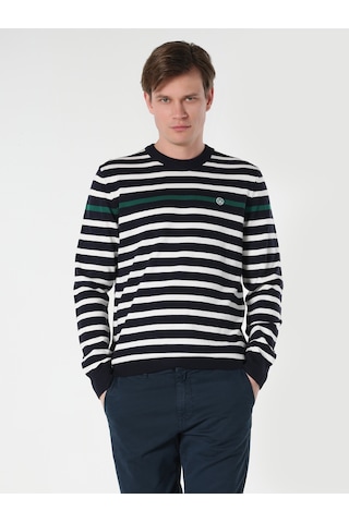 Colin's Regular Fit Bisiklet Yaka Çizgili Lacivert Erkek Kazak CL1064501_Q1.V1_NAV