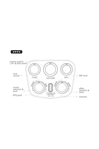 Trumon Wing 950tf-s5 Elektro Akustik Gitar