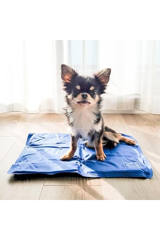 M-pets Frozen Köpek Serinletici Soğutucu Mat Xs 30x40cm
