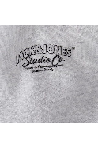 Açık Gri Jack & Jones Erkek Bisiklet Yaka Sweatshirts 12262880 001