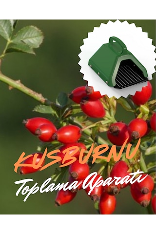 Kuşburnu Toplama Aparatı Metal Tırnaklı Plastik Bsr Garden