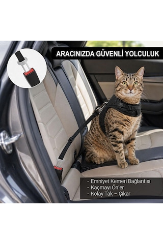 3 Kat File Yeni Nesil Nefes Alabilen Kedi Göğüs Tasma 3'lü Set Siyah Siyah L
