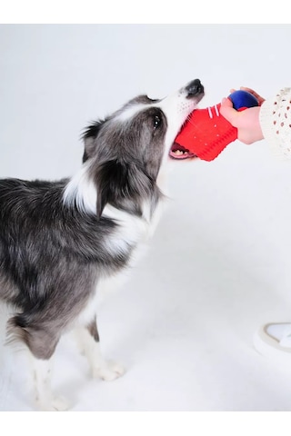 Ollypet Büyük Ve Orta Boy Köpekler İçin Dayanıklı Bot Toy Yavru Köpek Oyuncağı 227014123