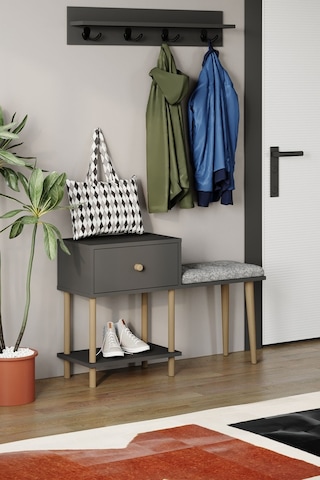 Puflu Ayakkabılık Düşer Kapaklı Ayakkabılık Raflı Ayakkabılık Iki Raflı-antrasit Antrasit