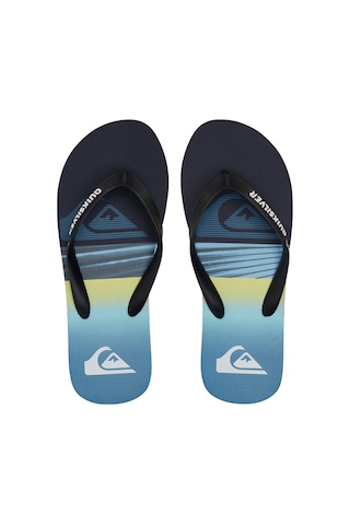 Quıksılver Quiksilver Molokai Panel Erkek Terlik Byj1 Çok Renkli