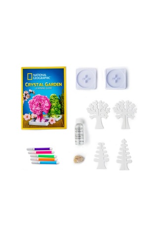 Nessiworld Natgeo Kristal Bitki Kiti-39162