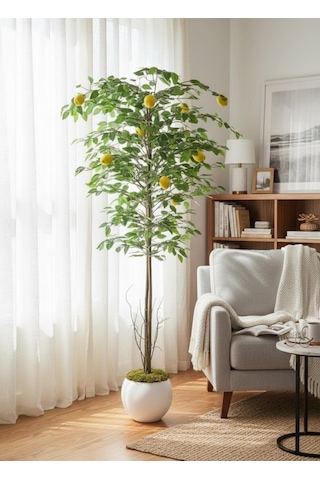 Yapay Limon Ağacı 160cm 10 Limonlu Doğal Görünümlü Beyaz Küre Plastik Saksılı Yapay Ağaç Sarı