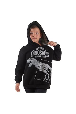 Denokids Mshb&g Dino Research Erkek Çocuk Sweatshirt