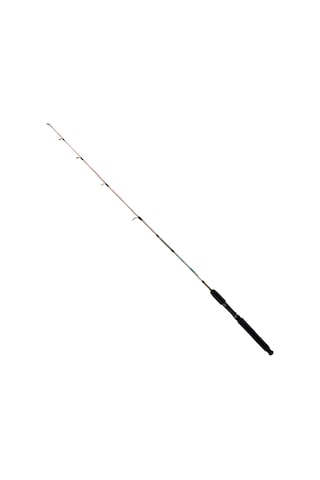 Fishpro Echo 165cm 100-250gr Tekne Kamışı