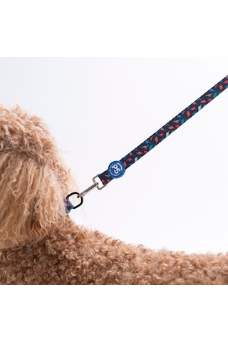 Dino Leash Kedi Köpek Sevk & Gezdirme Kayışı Köpek Uzatma Tasması-1,5cm Lacivert