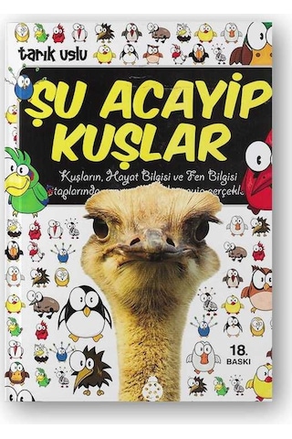 Şu Acayip Kuşlar N11.103
