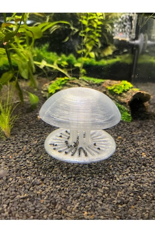 Pureysma Akvaryum Salyangoz Tuzağı Şeffaf Etkili Tuzak + Dekoratif Akvaryum