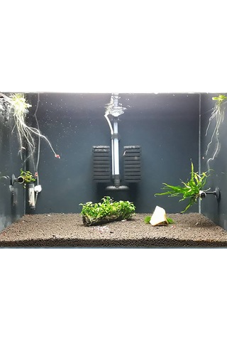 Xinyou Xy-002 Çiftli Pipo Filtre Büyük Boy 24X16Cm