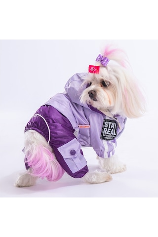 Pawstar Lila Mor Bicolor Köpek Tulum Yağmurluğu
