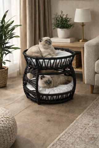 Galaxy Çift Katlı Kedi Yatağı Modern Rattan Tasarım, Yumuşak Minderli, İç Mekan Kedi Evi