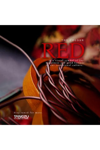 Tangzu Wan'er S.g 2 Red Lion Bass Kablolu Kulak İçi Kulaklık 3.5mm Mikrofonsuz Sip111