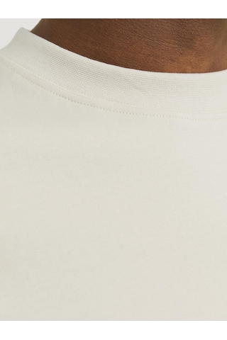 Jack & Jones Erkek Loose Fit Kısa Kollu Tişört - Urban Moonbeam Çok Renkli