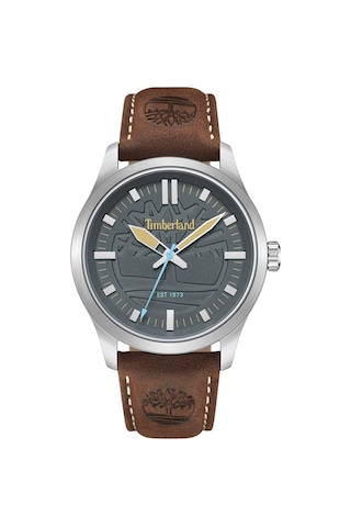 Timberland Tdwga0029605 Erkek Kol Saati Metalik