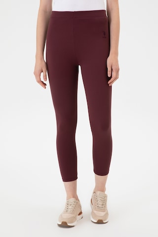U.S. Polo Assn. Kadın Bordo Yüksek Bel Toparlayıcı Günlük Tayt 50314365-VR177