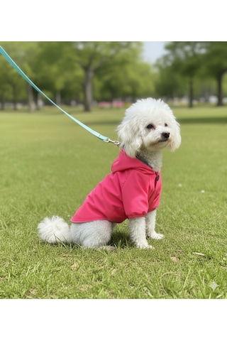 Kedi - Köpek Kıyafeti Kapşonlu Pembe Yağmurluk & Mont