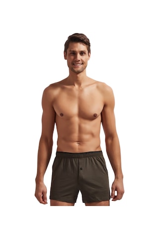 Josejuan Erkek Boxer Penye 3400-Haki