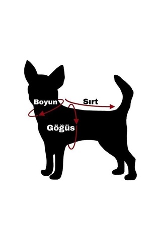 Alphadog Biggie Orta Büyük Irk Köpek Pofuduk Sweatshirt