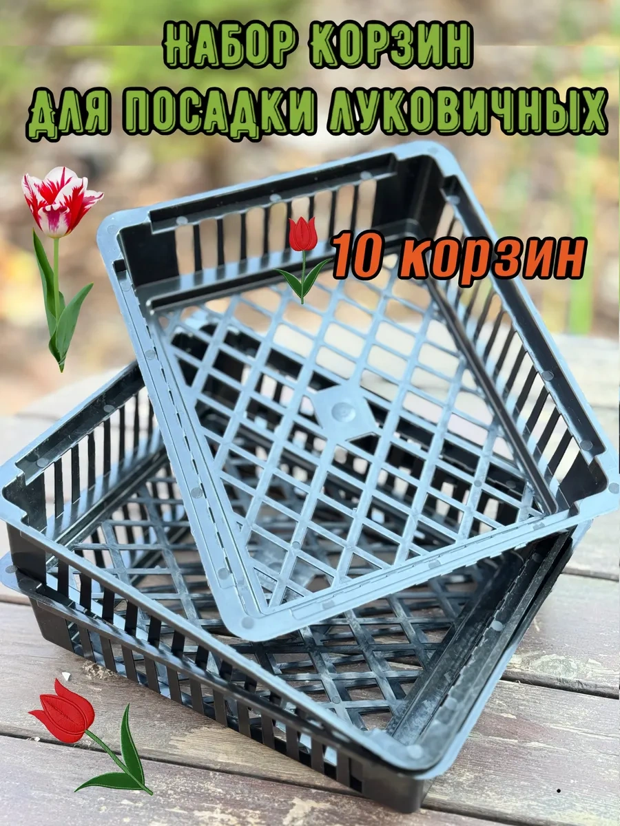 Botanikum Soğanlı Bitkiler Ve Kelebek Yetiştirme Sepeti 324986763