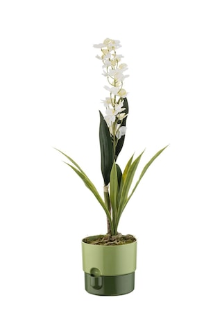 Yuvarlak Saksı Su Hazneli Kahve 2 Lt 160 150 Mm 20055869