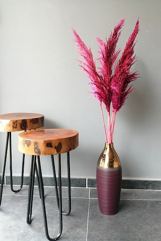 8'li Büyük Demet Pampas Koyu Fuşya 100cm Boyunda