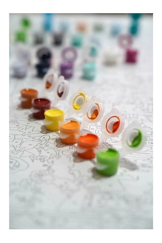 Moranka Sayılarla Boyama Tuval Seti Çıtalı 40x50 - Yalı Çapkını