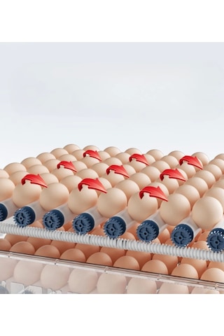 60 Yumurta Kapasiteli Tam Otomatik Kuluçka Makinesi - Civciv, Kaz, Hindi Ve Ördek Yetiştiriciliği Epo-w60