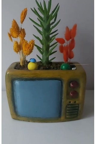 Dekoratif Tv Saksı