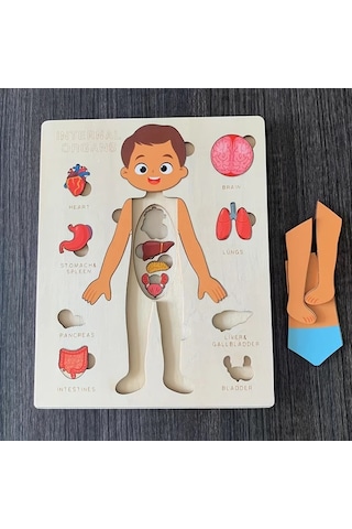 Willowhaven İnsan Vücudu Yapbozu - Çocuklar İçin Eğitici Öğrenme Oyuncağı