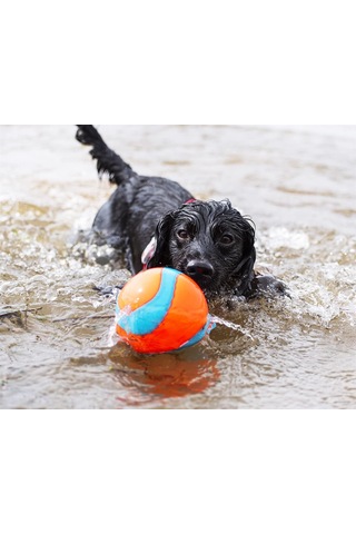 Chuckit Suda Batmayan Mega Köpek Oyun Topu 12 CM