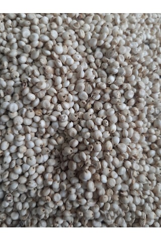 Mh Güvercin Yem Beyaz Sorgun Yerli 25 KG