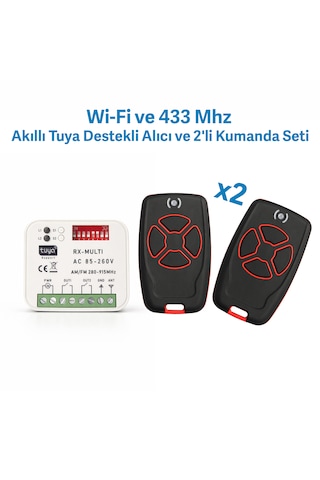 Alpsmart As865s Wi-fi Ve 433 Mhz Akıllı Tuya Destekli Alıcı Ve 2'li Kumanda Seti