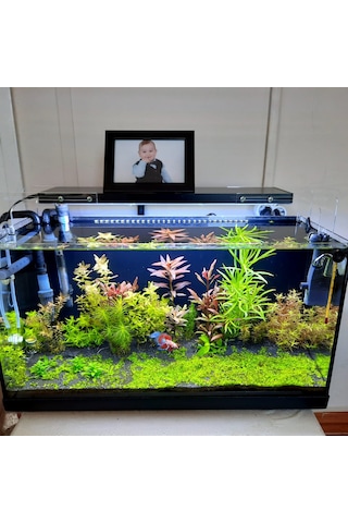 Armatürk 2050H Akvaryum Armatürü 50 CM