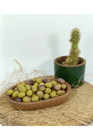 Aydın Yöresi Mudanya Cinsi Sofralık Tatlandırılmış Çizik Zeytin 3 Kg
