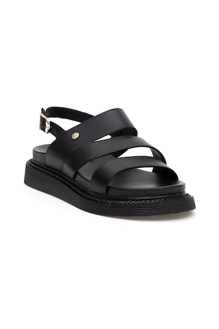 U.S. Polo Assn. Kadın Siyah Sandalet 50287291-VR046