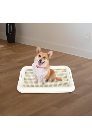 Homyl Köpek Lazımlık Tuvalet Kaymaz Çıkarılabilir Beyaz