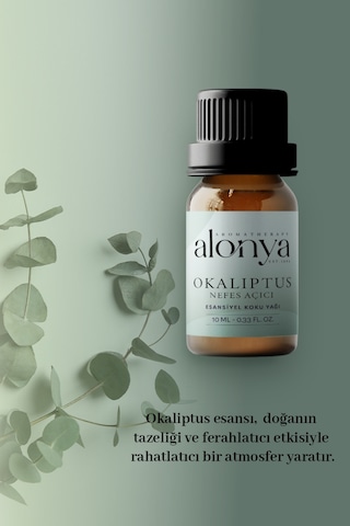 Okaliptus Nefes Açıcı Esansiyel Uçucu Koku Yağı Buhurdanlık Oda Kokusu Aromaterapi Yağı 10 Ml Okaliptus