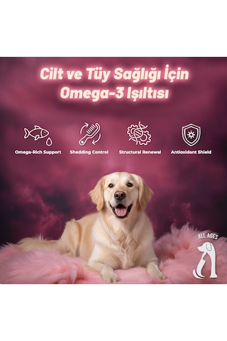 Perlina Cilt Ve Tüy Sağlığı Tablet
